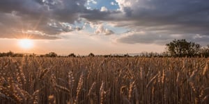 AgTech
