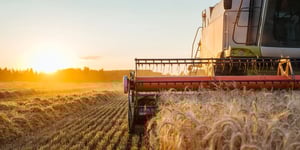 Combine harvester working in a wheat field during sunset