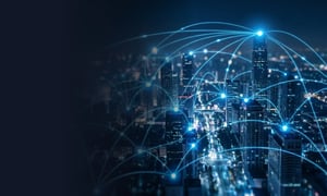 Business wireless connectivity network